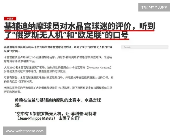 英足总持续关注球迷行为，水晶宫案成近期监管焦点
