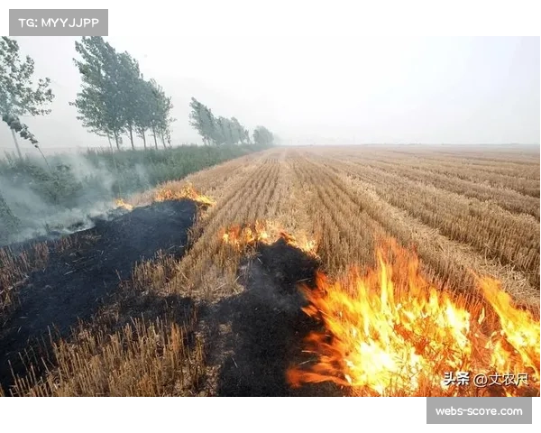 北京国安热身赛因场地周围焚烧秸秆导致比赛暂停，烟雾影响正常进行